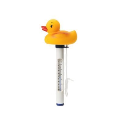 Floating Animal - AV-290475-pato